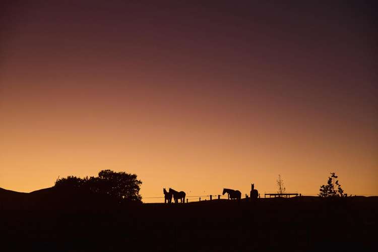 1549 Raukawa Road Raukawa_28