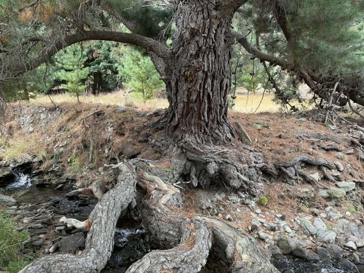 42D Gladsmuir Road Queensberry_26