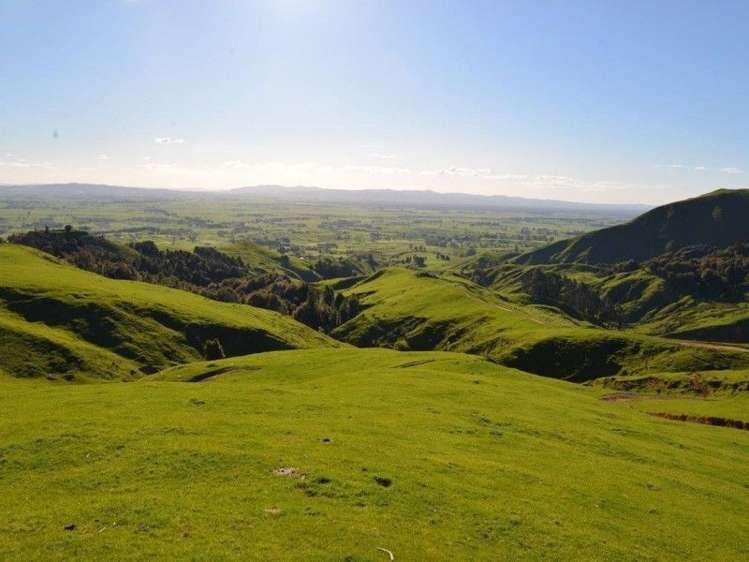 153 Hill Road Te Aroha_10