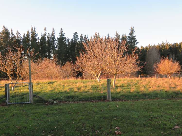 141 Opihi School Road Pleasant Point_12