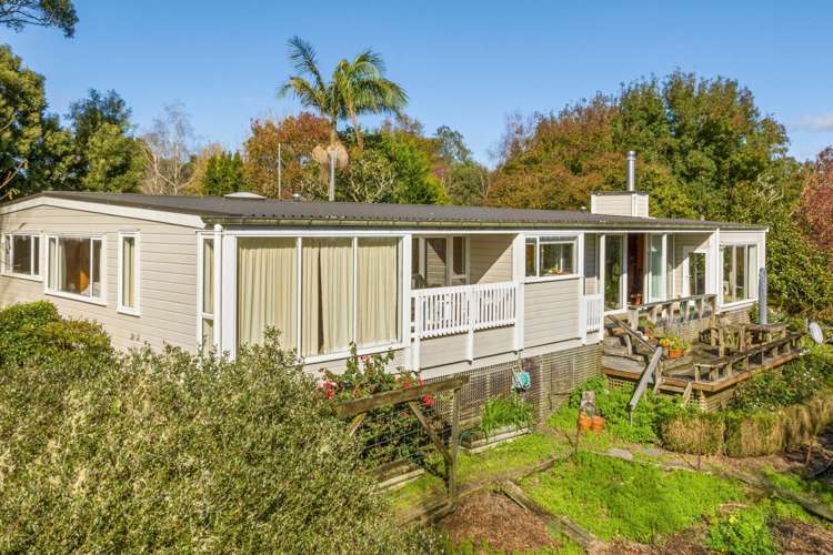 162 Ara-Kotinga Whitford_7