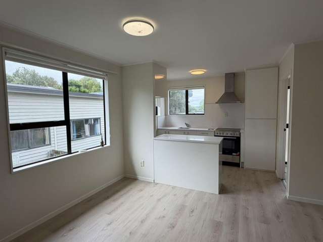 27H Rehia Road Massey_3