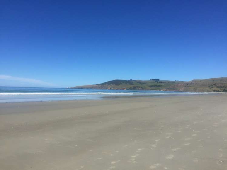 40 Driver Street Long Beach_5