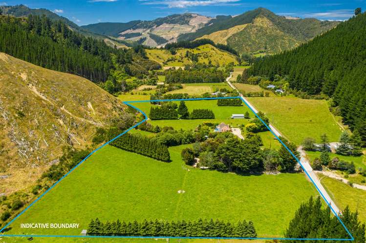 188 Mount Riley Road Havelock_8