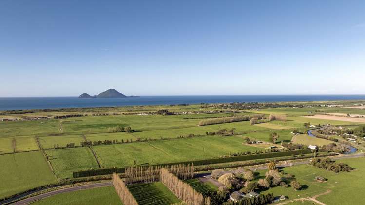 206B Thornton Road_0