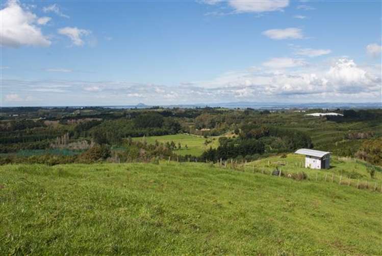 80d Mcmillan Road Hauraki Surrounds_5