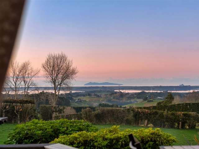 533 Wainui South Road Whakamarama_4