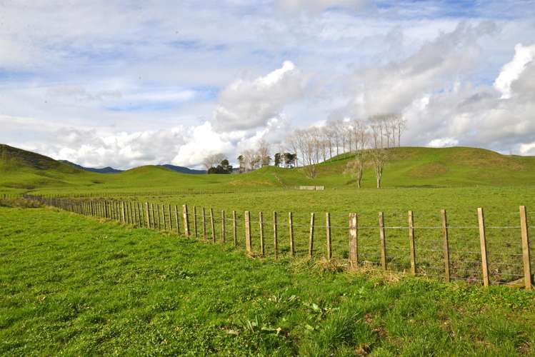 220 Tikitiki Road Te Kuiti_8