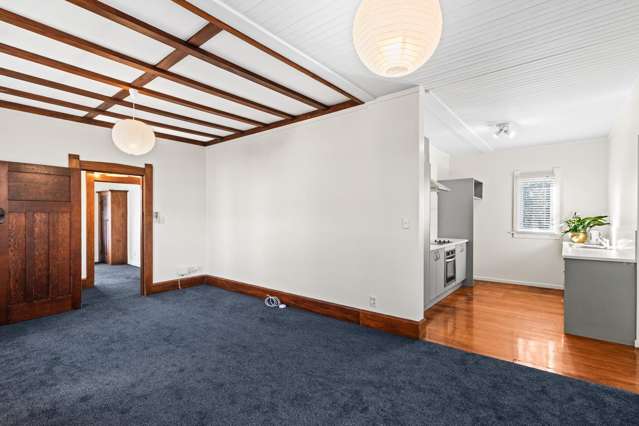 118A Maddison Street Akina_4