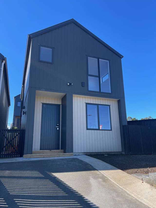 77 Taukahiwi Road Pukekohe_1