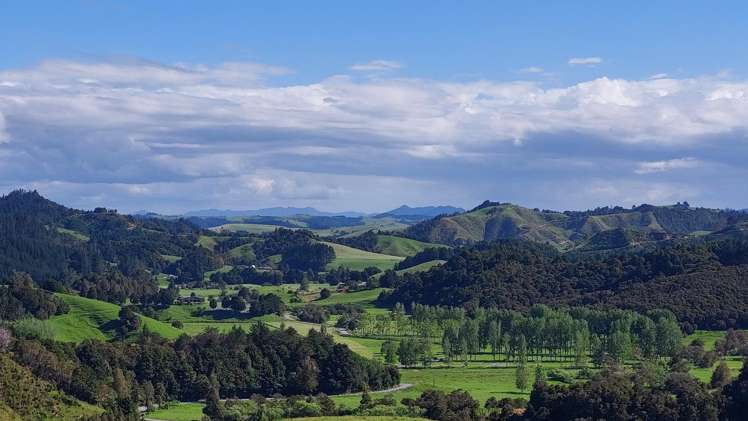 1104 Tapuhi Road Hikurangi Rd2_23