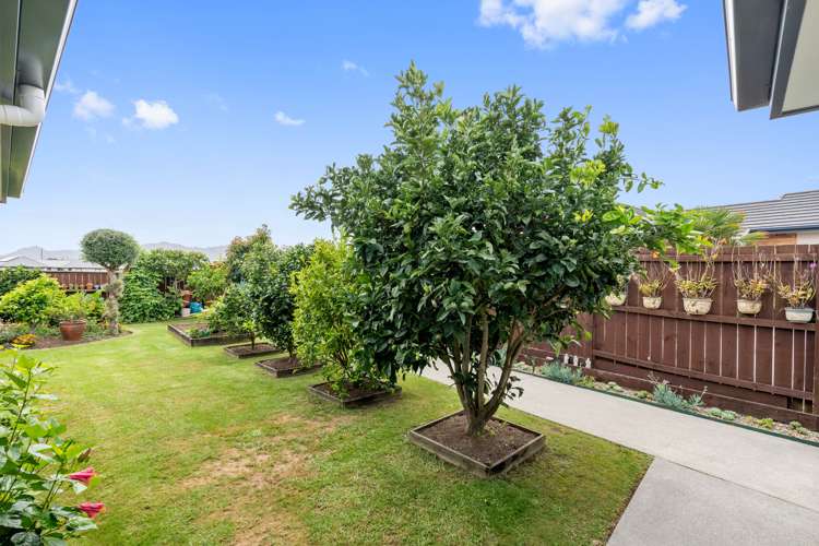 9 Wai Place One Tree Point_15