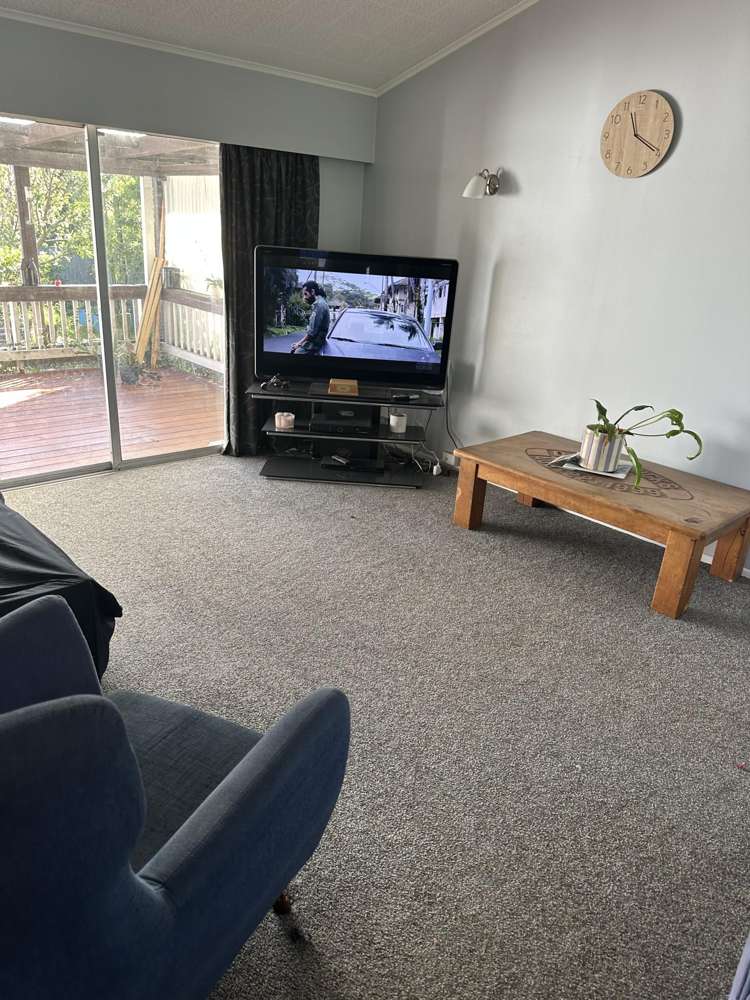 99 MOUNT VIEW DRIVE_5