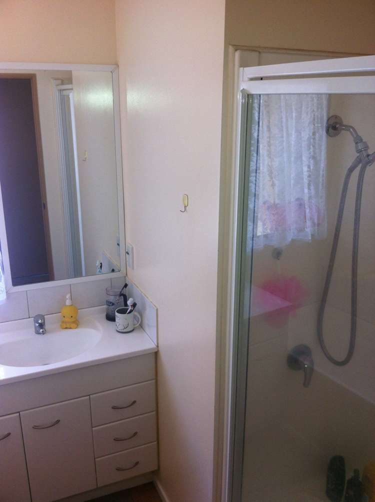 37a Woodward Road Mount Albert_12