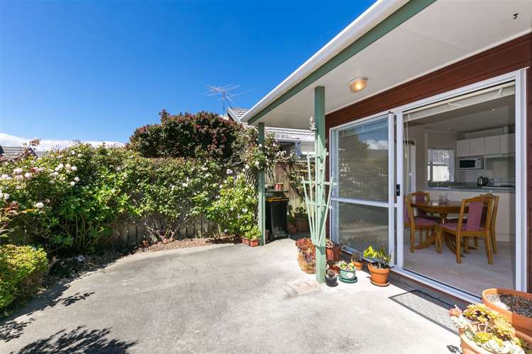 10 Macalister Place Miramar_12