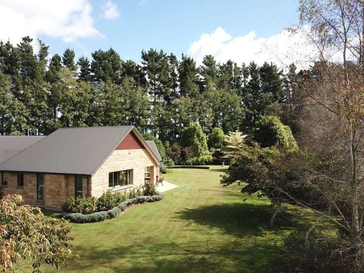 23 Trentham Road Matangi_31