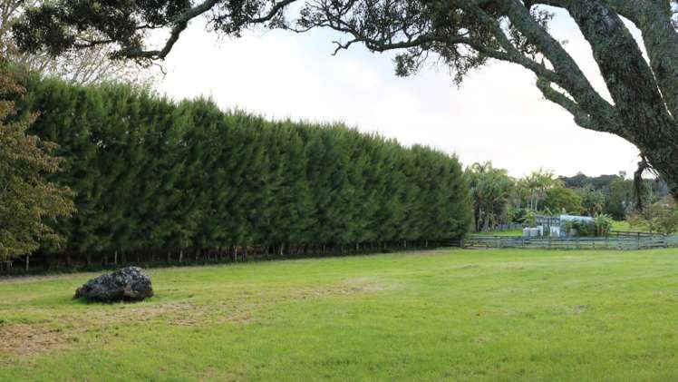 Brenda Gardner Way_3