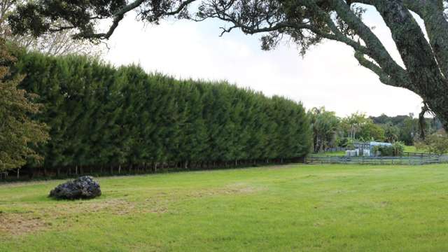 Brenda Gardner Way Maunu_3