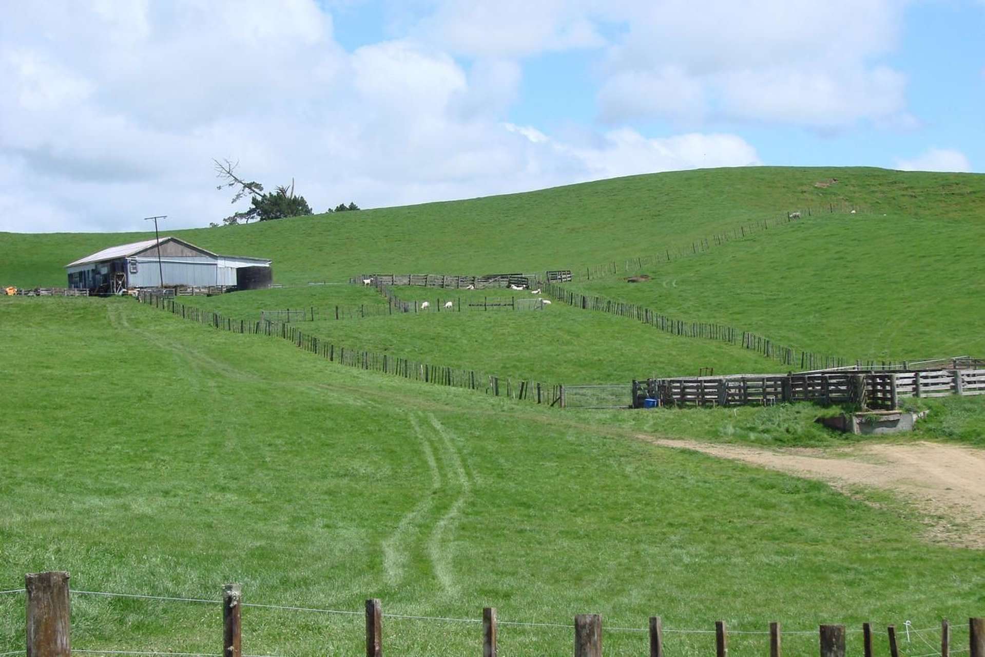 121 Ngapeke Road Otorohanga_0