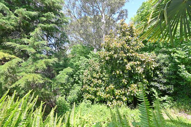 4 Bracken Street Hospital Hill_18