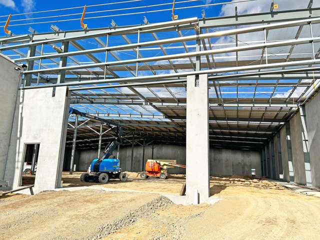 6 Earthmover Crescent Te Rapa_3