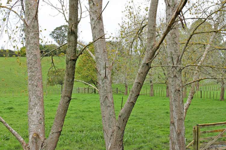 131 Tavinor Road Otaika_21