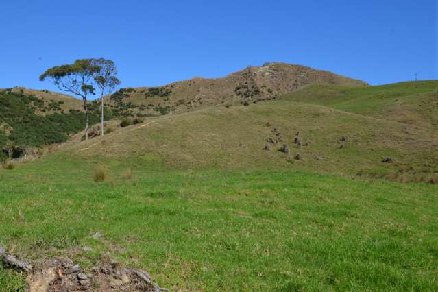 814 Awakau Road Mokau_4