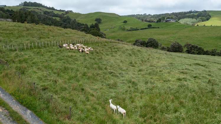 Proposed Lots 2 & 3/113 Kereru Lane Mangawhai_9