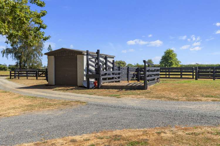 4272 State Highway 26 Waihou_28