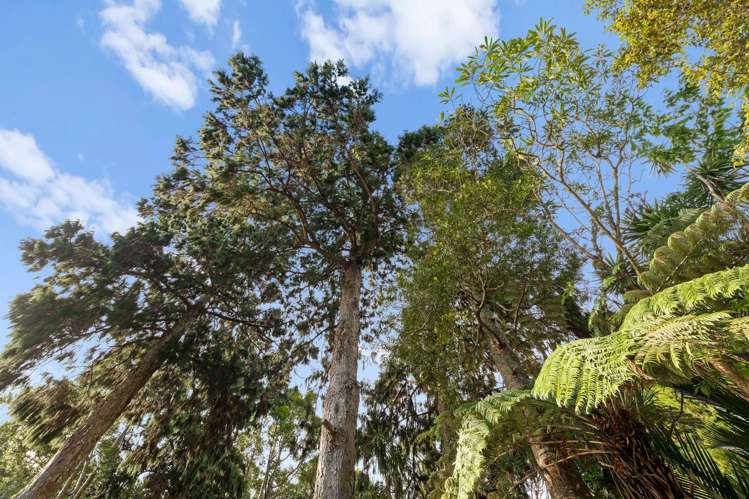 74 Waima Crescent Titirangi_13