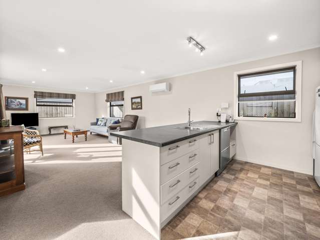 91 Cameron Street Ashburton_1