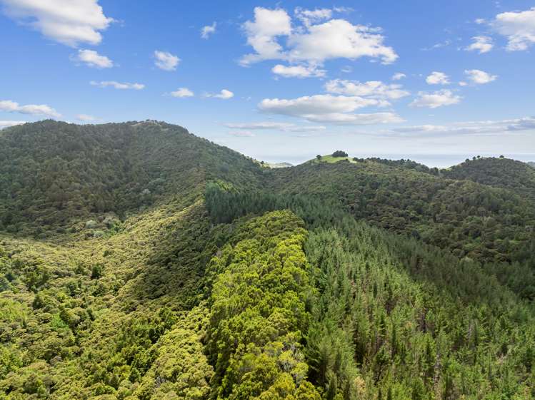 15 Waiparera Road Parua Bay_17