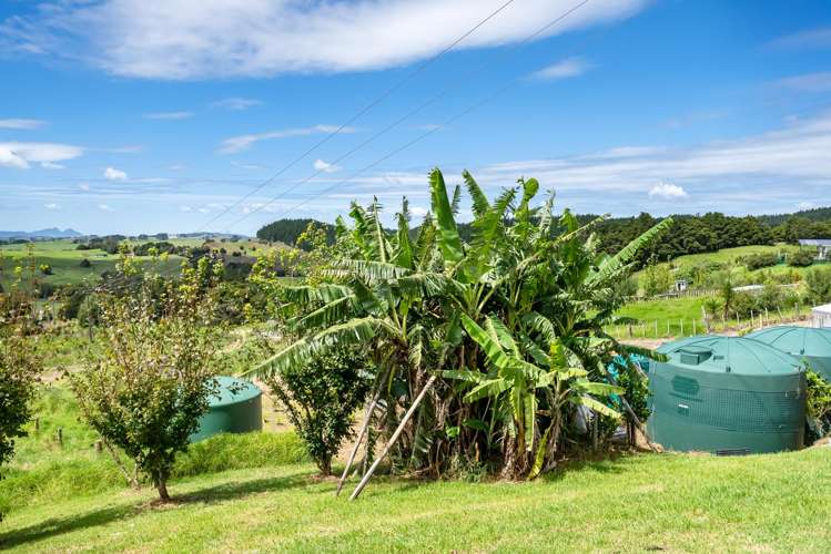 79C Jackson Road Maungatapere_12