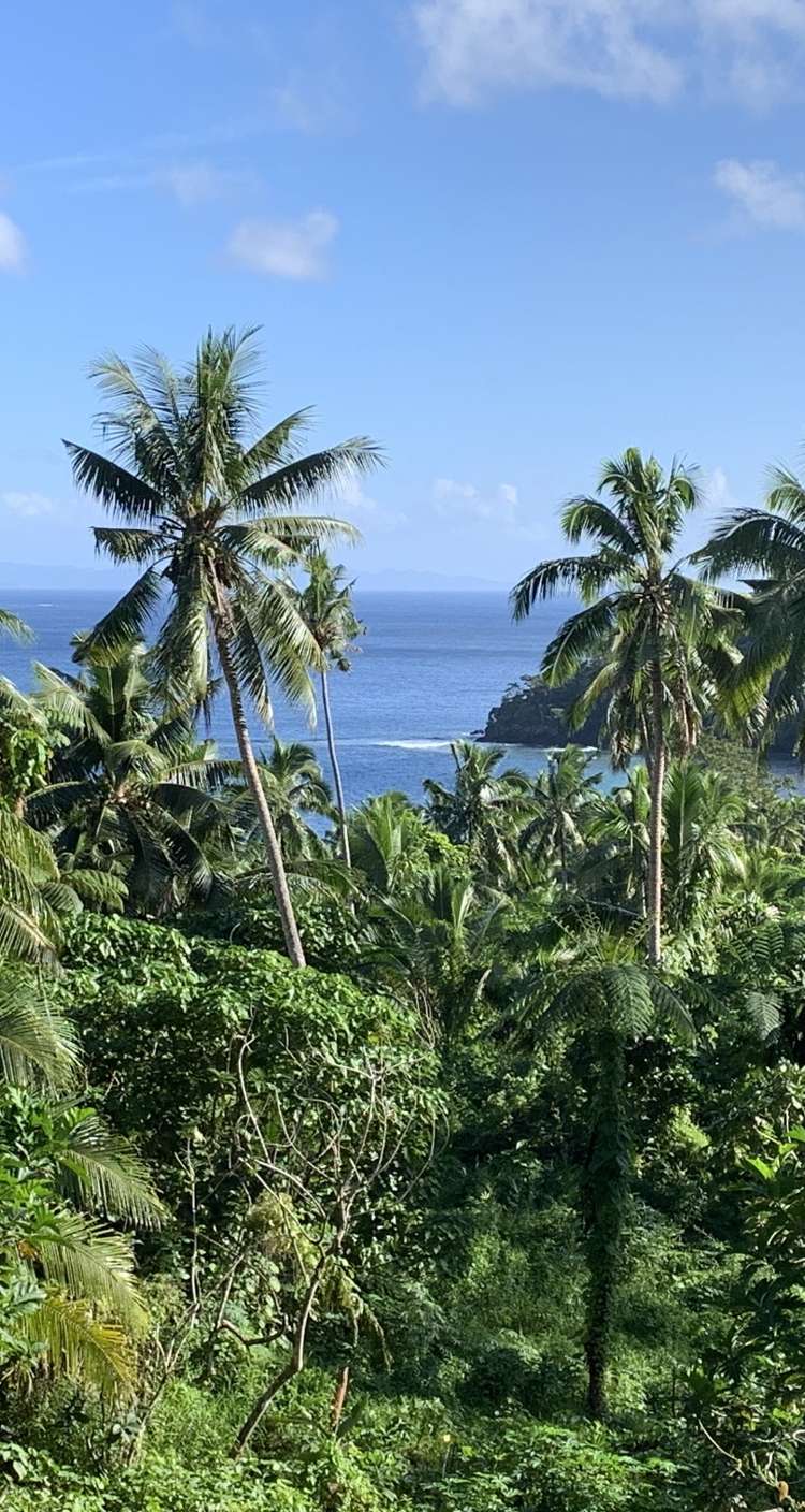 Qamea Island Vanua Levu_17