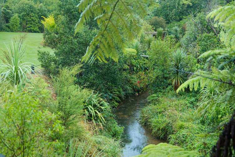 174D Lund Road Katikati_27