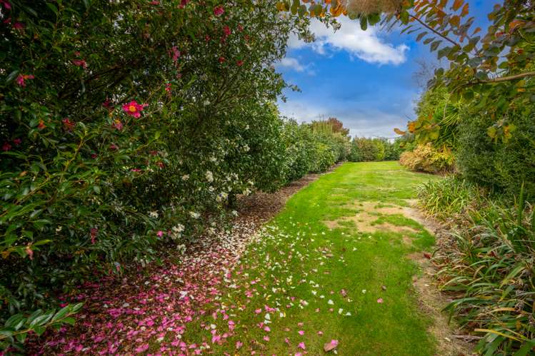 93a Devine Road Tamahere_23