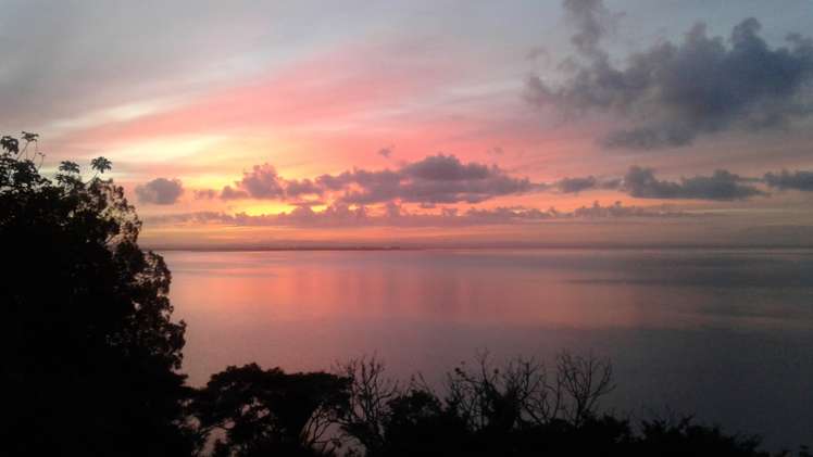 66 Kauri Point Road Laingholm_6