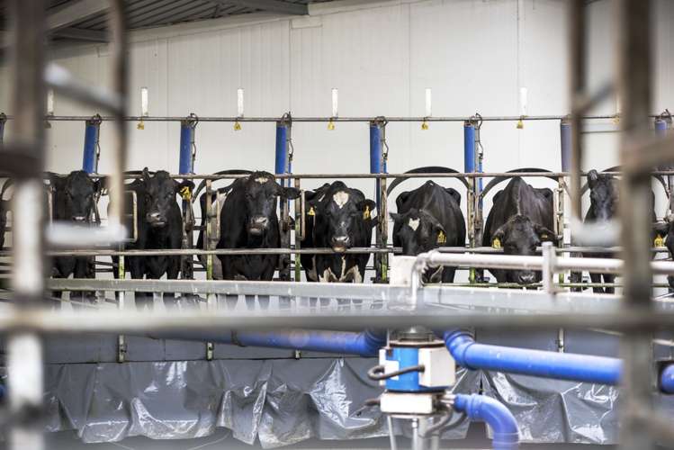 590e Koheroa Road Mangatawhiri_6