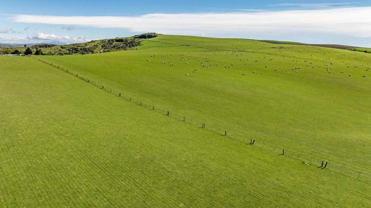 614 Omihi Road Omihi_7