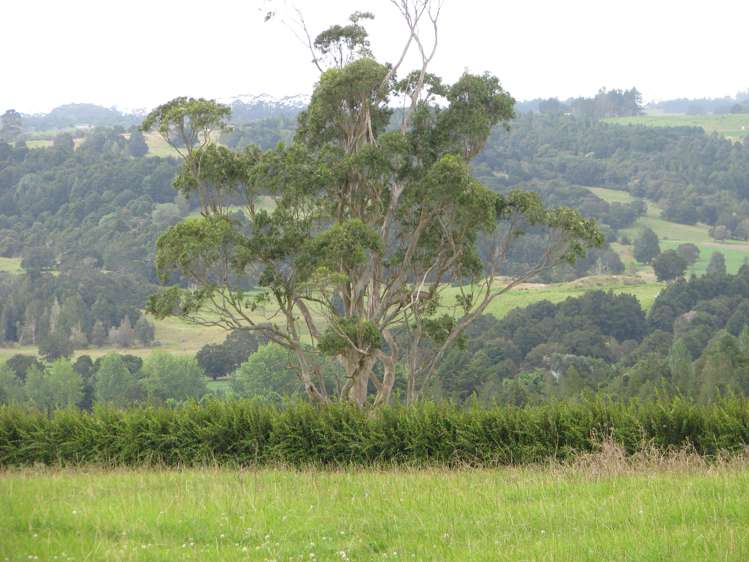 Lot 2 Cooks Lane Kerikeri Surrounds_7