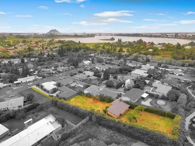 Develop, Land-Bank, or Enjoy