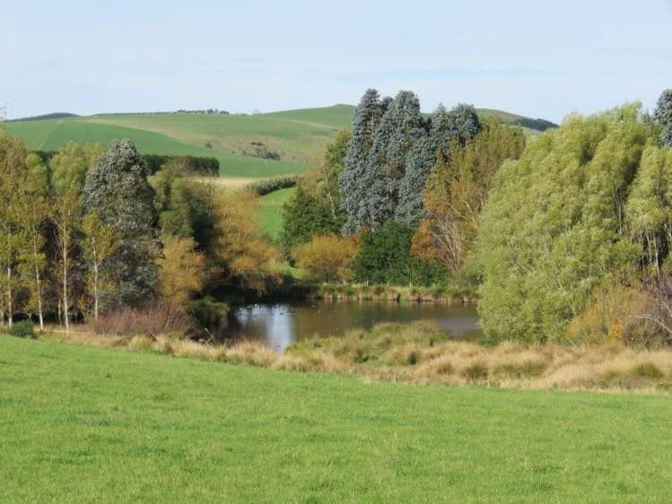 21 Howe Road Wyndham Surrounds_7