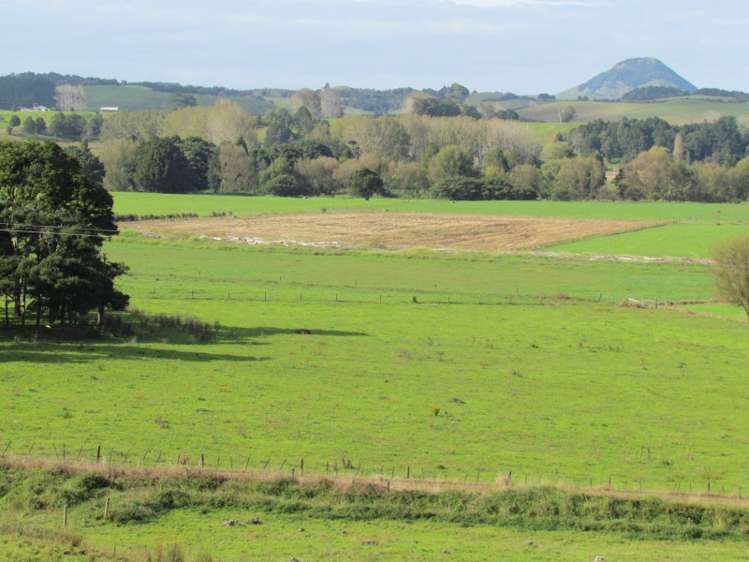 353 Wilson Road Pakotai_10