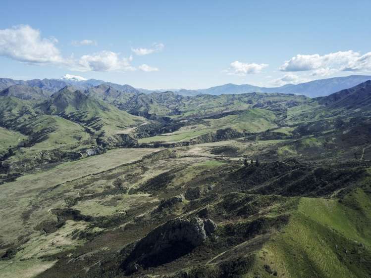 496 Haldons Road Seddon_8