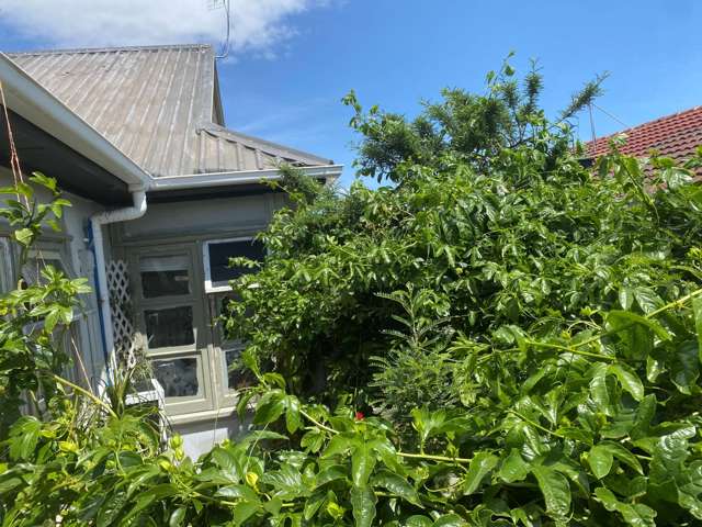 43B Twentieth Avenue Tauranga South_2