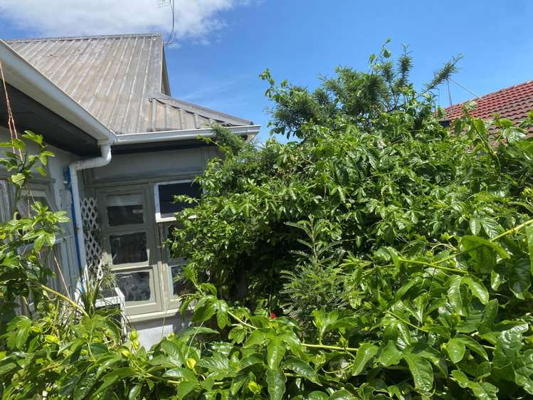 43B Twentieth Avenue Tauranga South_2