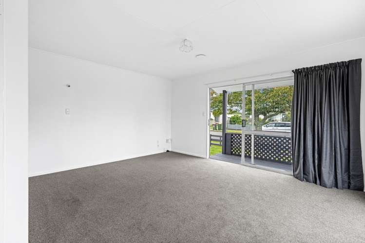 9 Guy Avenue Levin_4