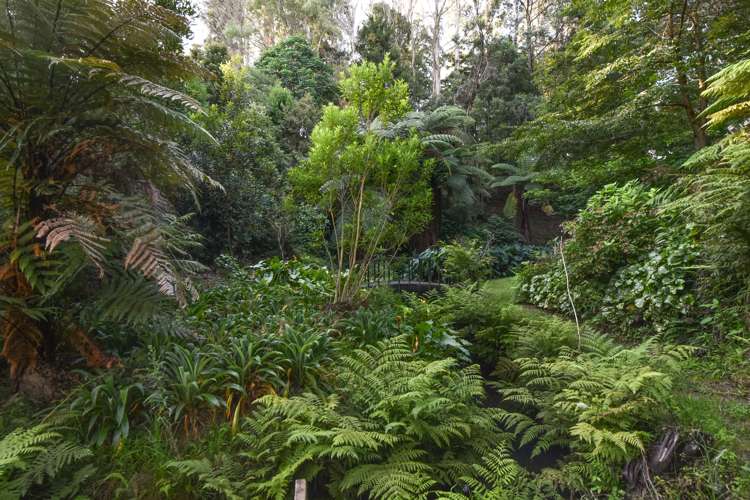 50 Holcombrooke Lane Welcome Bay_33