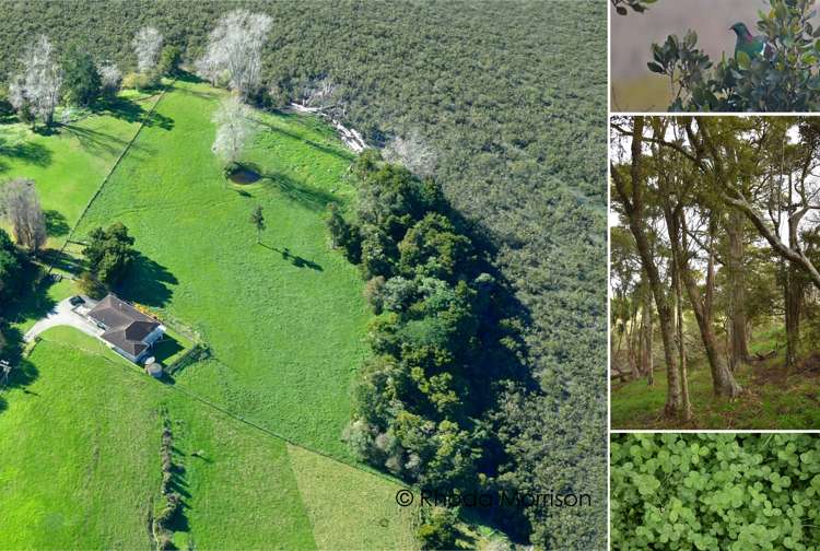 50 Barlow Lane Matakohe_18