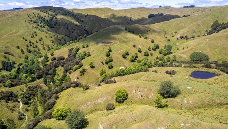 411 Cannock Road Hinakura_15